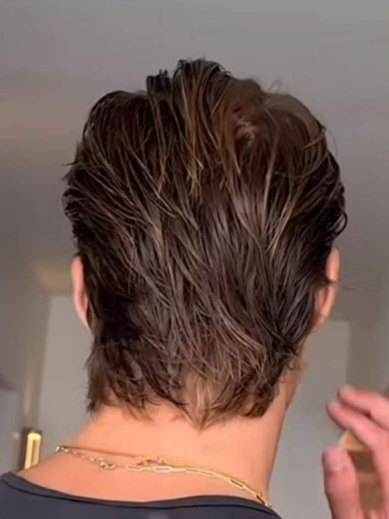 Sexy, Modern Mullet From The Back